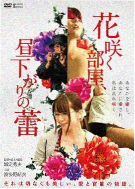 长片观影窗口与字幕密度示意